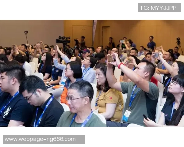 北京极限运动队运营分析与反思探讨团队发展的成功与挑战